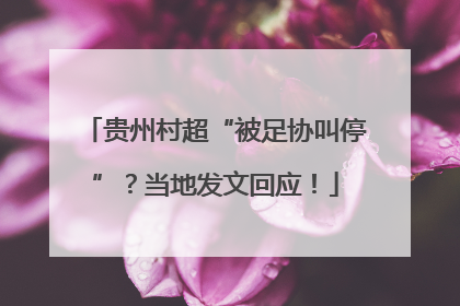 贵州村超“被足协叫停”？当地发文回应！
