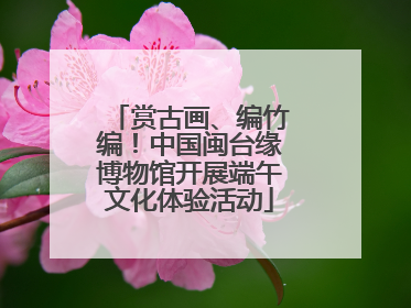 赏古画、编竹编！中国闽台缘博物馆开展端午文化体验活动