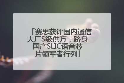 赛思获评国内通信大厂S级供方，跻身国产SLIC语音芯片领军者行列