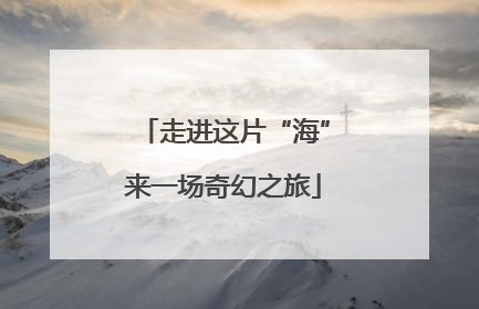 走进这片“海”来一场奇幻之旅