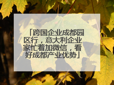 跨国企业成都园区行，意大利企业家忙着加微信，看好成都产业优势
