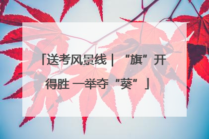 送考风景线｜“旗”开得胜 一举夺“葵”