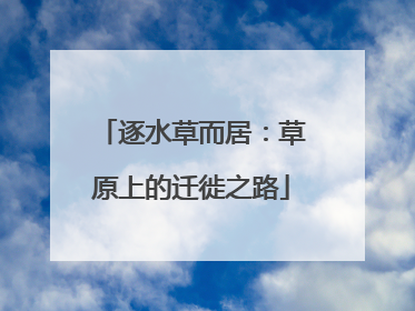 逐水草而居：草原上的迁徙之路
