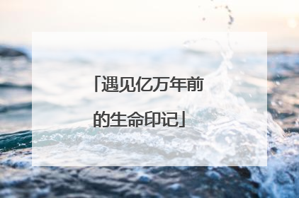 遇见亿万年前的生命印记