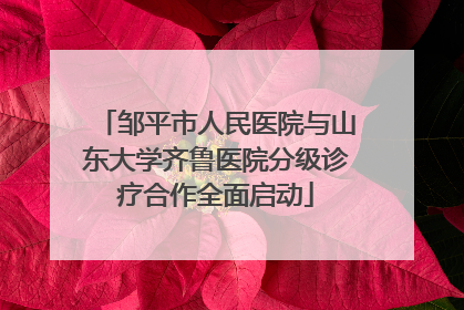 邹平市人民医院与山东大学齐鲁医院分级诊疗合作全面启动