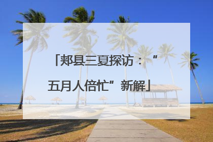 郏县三夏探访：“五月人倍忙”新解