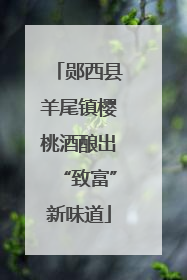 郧西县羊尾镇樱桃酒酿出“致富”新味道