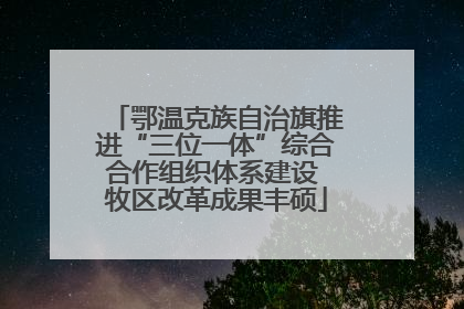 鄂温克族自治旗推进“三位一体”综合合作组织体系建设 牧区改革成果丰硕