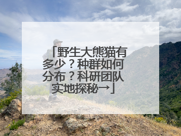 野生大熊猫有多少？种群如何分布？科研团队实地探秘→