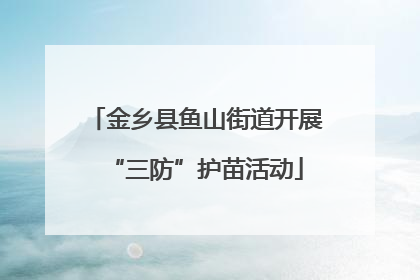 金乡县鱼山街道开展“三防”护苗活动