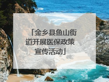金乡县鱼山街道开展医保政策宣传活动