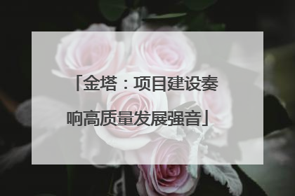 金塔：项目建设奏响高质量发展强音