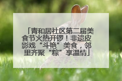 青和居社区第二届美食节火热开锣！非遗皮影戏“斗艳”美食，邻里齐聚“粽”享温情