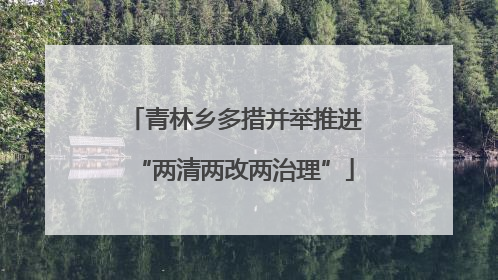 青林乡多措并举推进“两清两改两治理”