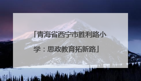青海省西宁市胜利路小学：思政教育拓新路