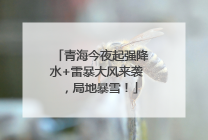 青海今夜起强降水+雷暴大风来袭，局地暴雪！