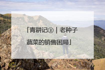 青耕记③｜老种子蔬菜的销售困局