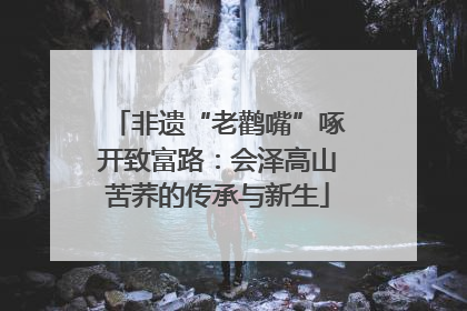 非遗“老鹳嘴”啄开致富路：会泽高山苦荞的传承与新生