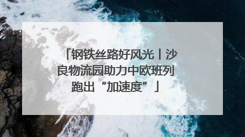 钢铁丝路好风光丨沙良物流园助力中欧班列跑出“加速度”