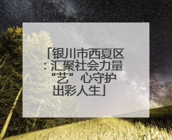 银川市西夏区：汇聚社会力量 “艺”心守护出彩人生