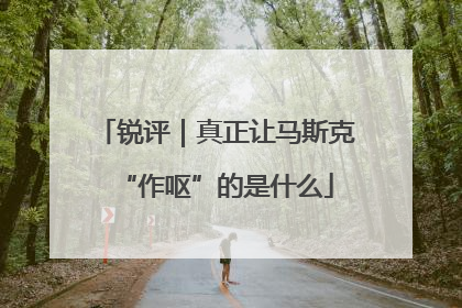 锐评｜真正让马斯克“作呕”的是什么