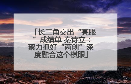 长三角交出“亮眼”成绩单 秦诗立：聚力抓好“两创”深度融合这个棋眼