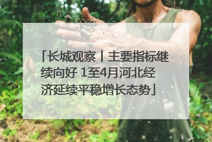 长城观察丨主要指标继续向好 1至4月河北经济延续平稳增长态势