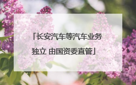 长安汽车等汽车业务独立 由国资委直管
