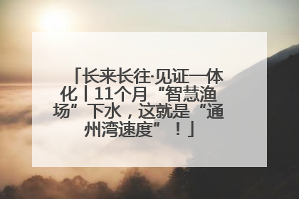 长来长往·见证一体化丨11个月“智慧渔场”下水，这就是“通州湾速度”！