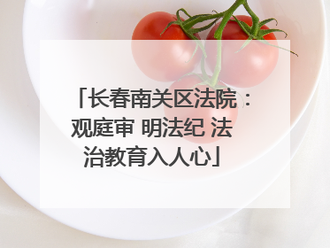 长春南关区法院：观庭审 明法纪 法治教育入人心