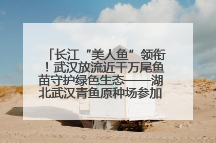 长江“美人鱼”领衔！武汉放流近千万尾鱼苗守护绿色生态——湖北武汉青鱼原种场参加2025年“全国放鱼日”增殖放流活动