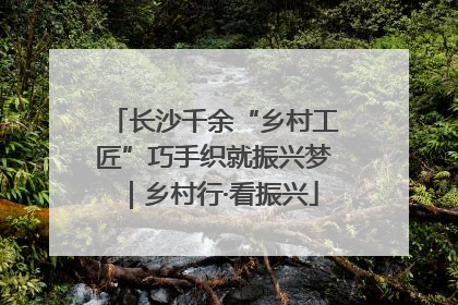 长沙千余“乡村工匠”巧手织就振兴梦｜乡村行·看振兴