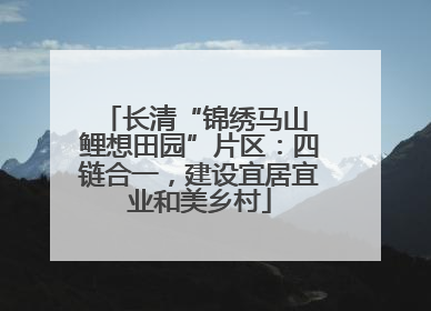 长清“锦绣马山 鲤想田园”片区：四链合一，建设宜居宜业和美乡村