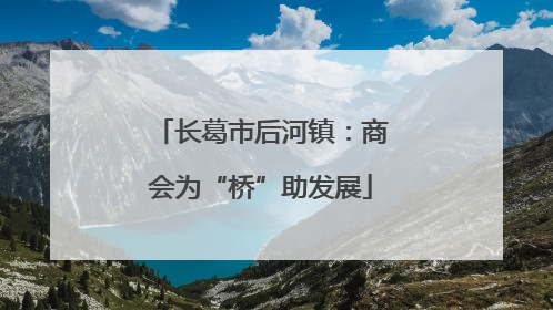 长葛市后河镇：商会为“桥”助发展