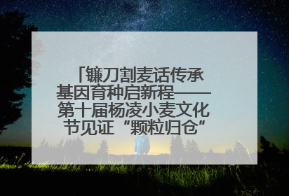 镰刀割麦话传承 基因育种启新程——第十届杨凌小麦文化节见证“颗粒归仓”时空跨越