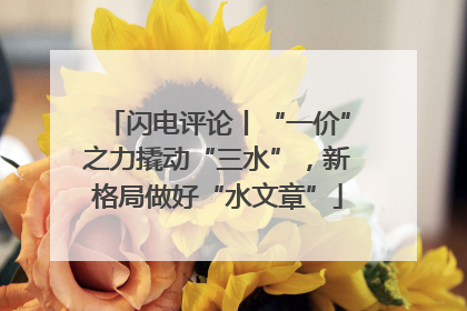 闪电评论丨“一价”之力撬动“三水”，新格局做好“水文章”
