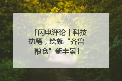 闪电评论｜科技执笔，绘就“齐鲁粮仓”新丰景
