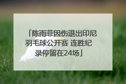 陈雨菲因伤退出印尼羽毛球公开赛 连胜纪录停留在24场