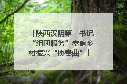 陕西汉阴第一书记“组团服务”奏响乡村振兴“协奏曲”