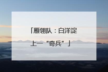 雁翎队：白洋淀上一“奇兵”