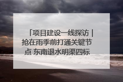 项目建设一线探访｜抢在雨季前打通关键节点 东南退水明渠四标段项目顺利完工