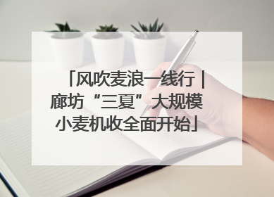 风吹麦浪一线行｜廊坊“三夏”大规模小麦机收全面开始
