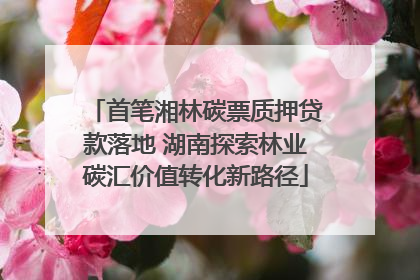 首笔湘林碳票质押贷款落地 湖南探索林业碳汇价值转化新路径