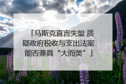 马斯克直言失望 质疑政府税收与支出法案能否兼具“大而美”