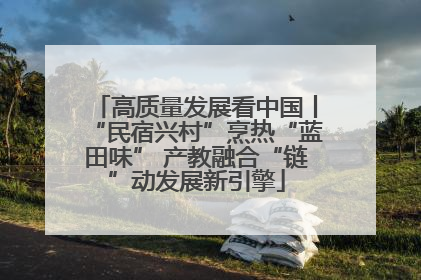 高质量发展看中国丨“民宿兴村”烹热“蓝田味” 产教融合“链”动发展新引擎