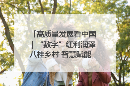 高质量发展看中国｜“数字”红利润泽八桂乡村 智慧赋能绘就振兴画卷