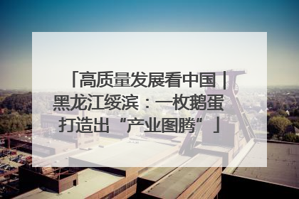 高质量发展看中国｜黑龙江绥滨：一枚鹅蛋打造出“产业图腾”