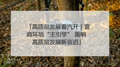 高质量发展看汽开｜营商环境“主引擎” 轰响高质量发展新赛道