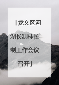 龙文区河湖长制林长制工作会议召开