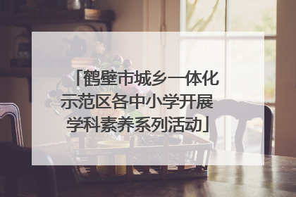 鹤壁市城乡一体化示范区各中小学开展学科素养系列活动